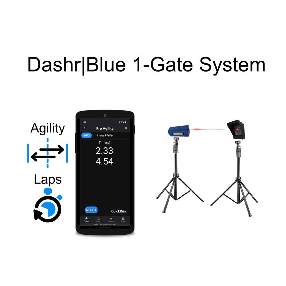 1 gate system dashr