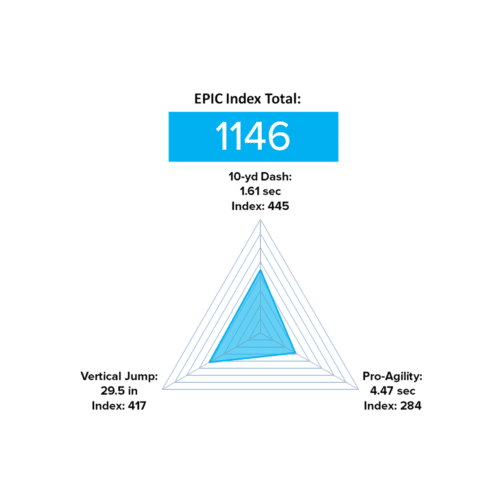 D1 Premier Package - Image 12