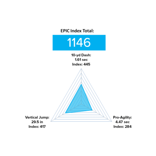 D1 Premier Package - Image 12