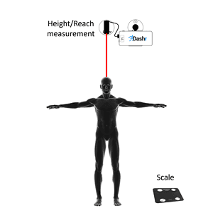 Bio LITE