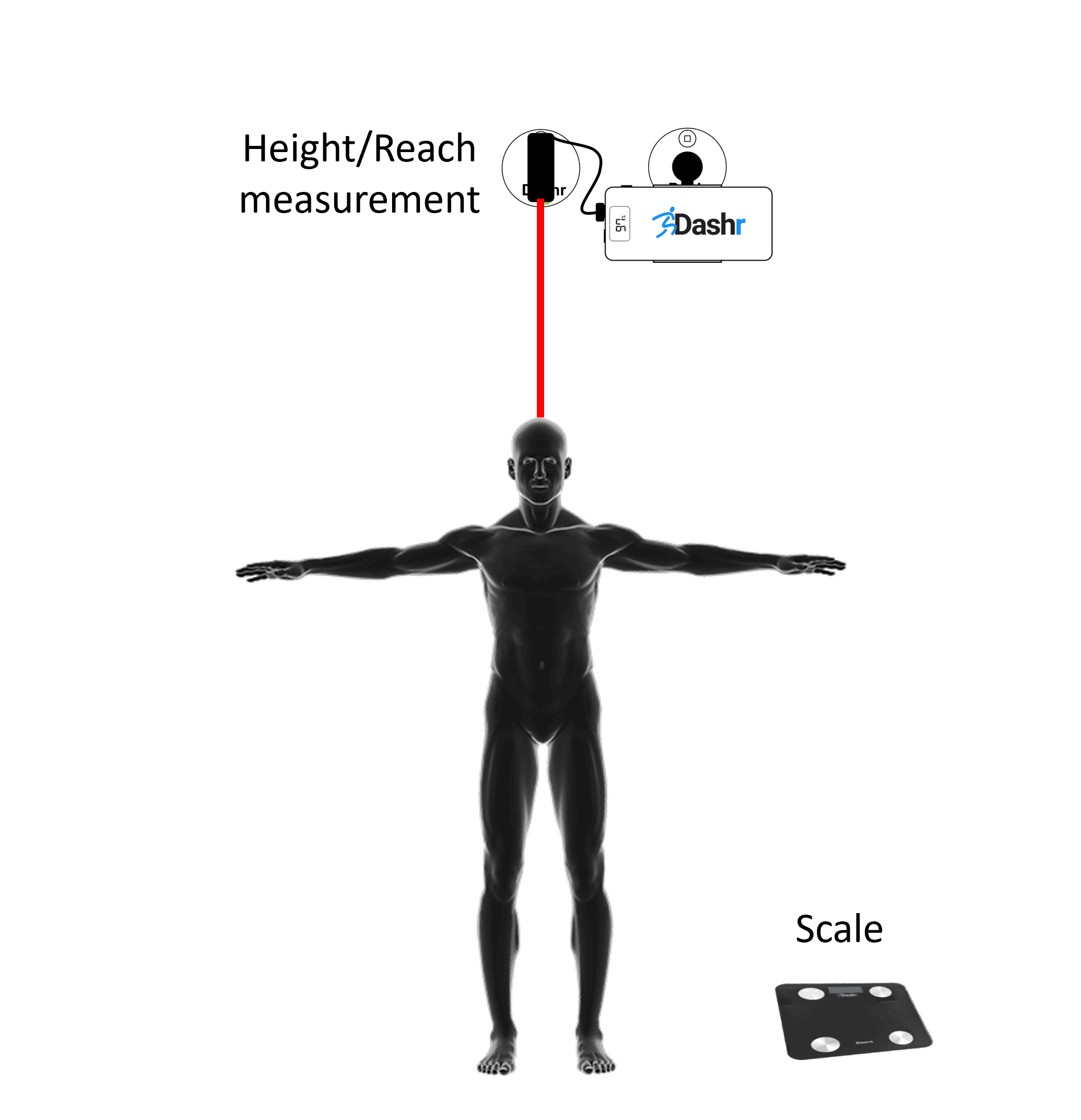 Bio LITE