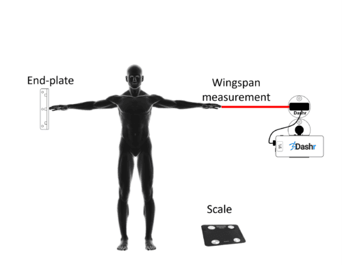 Bio LITE - Image 2