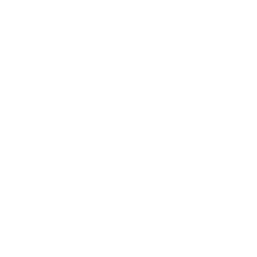 Cleat icon.