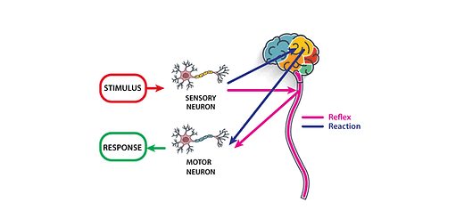 Stimulus vs. response diagram.